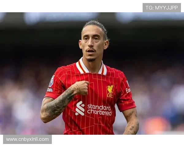 森林欲租齐米卡斯 罗马可能退租